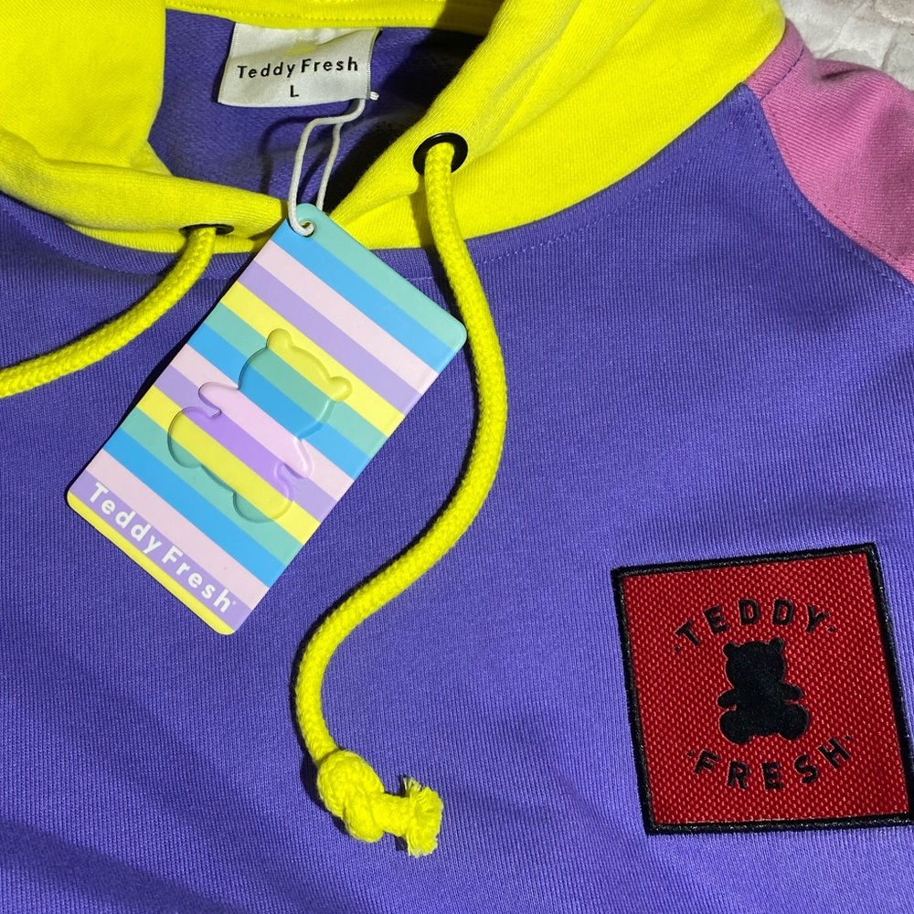 TEDDY FRESH- COLOR BLOCK HOODIE 2.0-L- PASTEL BNWT